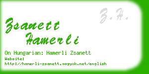 zsanett hamerli business card